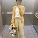 몽플리쎄