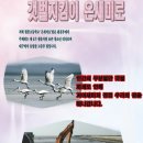온새미로 이미지