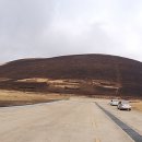 새별목장 이미지