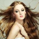 노박젠틀브이의원 이미지