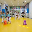 경희대 으뜸 태권도장 이미지