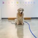 (주)청려원 네이버블로그