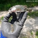 남방낚시터 이미지