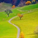 THE우리공인중개사사무소 이미지