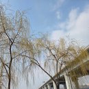 일제 경성호국신사 계단(108계단) | 후암동108계단과 미드스트 오브플로어
