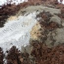 상기2리 이미지