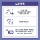 프라임24시 이미지