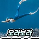 보라투어 이미지