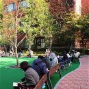 마로니에시근린공원 이미지