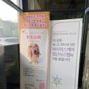 펫츠가든 이미지