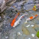 나루펜션민박 이미지