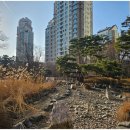 광교중앙공인중개사사무소 이미지