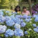 천리포수목원 이미지