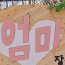 해강장어 이미지