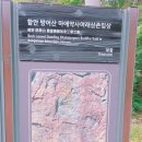 미애사 Daum카페