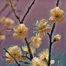 용두공원 이미지