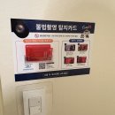 도도 게스트하우스 | 미드나잇 인 경주 숙소 후기 – 황리단길 근처 감성 게스트하우스