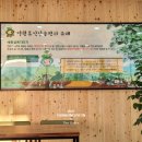 영광모싯잎송편(세종) 이미지