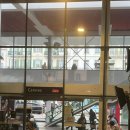 궁전아파트건너 | 🇫🇷칸영화제 다녀온 썰 푼다 | 영화 6편 보고 온 일반인 후기 👊🏻