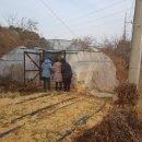 황구건강원 이미지