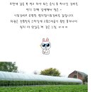 명지원 네이버블로그