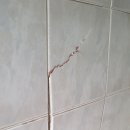 비전8길 이미지