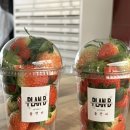 플랜비 | 김해 부산 플랜비 딸기농장 체험 후기 동결건조딸기 제공 붕어빵 딸기라떼 만들기 체험