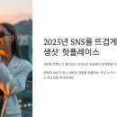 📸 2025년 SNS 인생샷! 계절별 핫플레이스 총정리 (최신 업데이트)