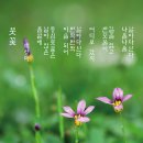 050목련3 이미지