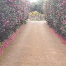 호근남로 이미지