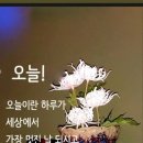 프랜즈스크린 - 서구 계백로 900 | 프랜즈스크린
