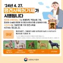 혹시 이미지