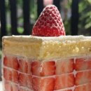 불티나는맛집 이미지