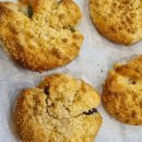 땡글이네 이미지