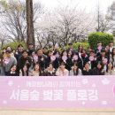 깨끗한나라 이미지