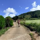 장흥 산벚나무길 | 장흥 별빛밤바다 캠핑장 포함 가을 1박2일코스 추천