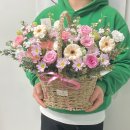 수원-1390 이미지