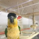 가든조류원 이미지