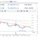 마켓올리 이미지