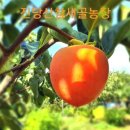 대천농장 네이버블로그