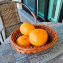 라비스테이 이미지