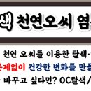 비비추헤어(권선점)