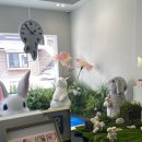 츄렌즈 플래그십 스토어 연남 | 츄렌즈 연남 플래그십 스토어 방문후기