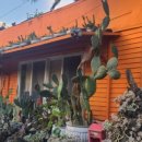 밸리 통나무 빌리지 이미지