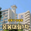 대림2차 인근 | 응봉대림1차, 리모델링 접고 재건축 직행… 응봉 개발 수혜 핵심 단지