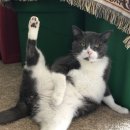 퍼시픽 티지 | 길음 미용실) 복구 매직이 과연 있을까..? // 아모스 펌 교육 후기