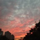 시민문화체육센터 대공연장 이미지