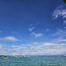 해경빌라 | 보홀 발리카삭 다이빙 예약 시 알아야할 것들