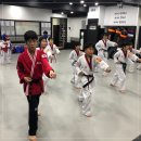 용인대 마북 태권도 이미지