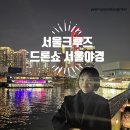 대교기사부페 | [서울크루즈]저녁 야경 크루즈 탑승 후기(with 케데헌 드론쇼)